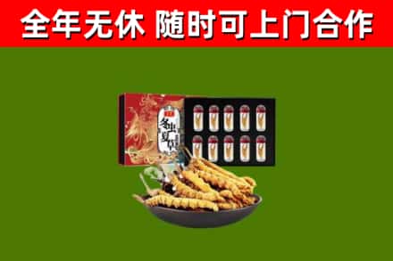 阳曲烟酒回收冬虫夏草礼盒.jpg
